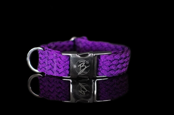 Purple Metallic Collar