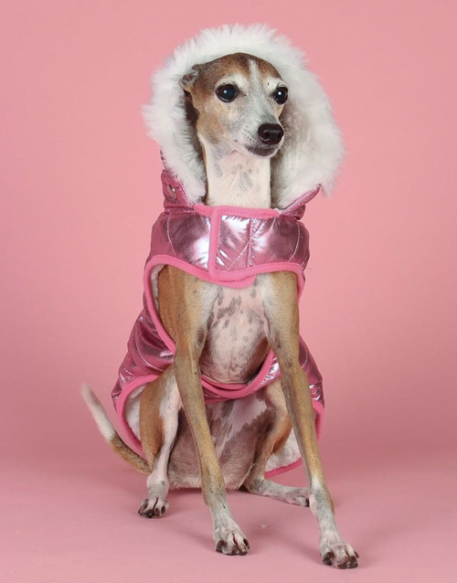 Pink dog coat