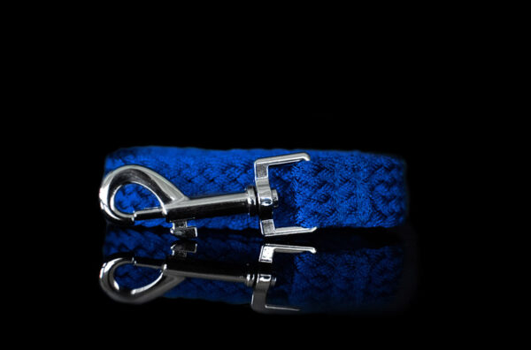 Blue Metallic Braided Leash