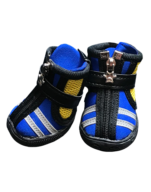 blue striped dog shoe