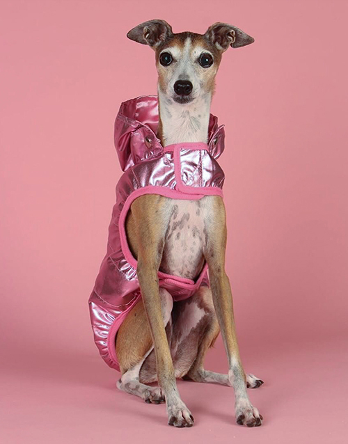 pink dog raincoat