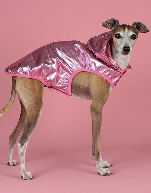 pink dog raincoat