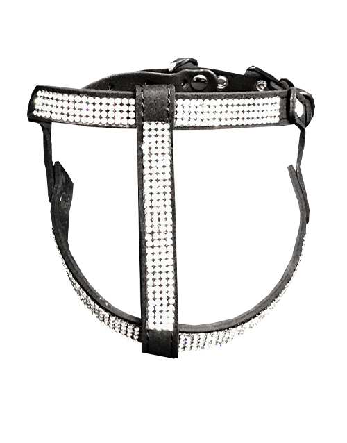Black diamond dog harness