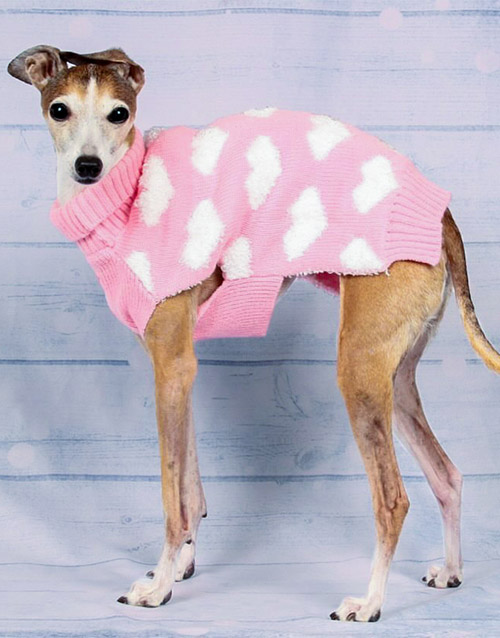 dog sweater with hearts